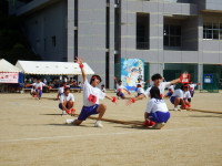 DSCF0538