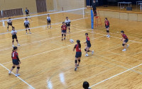 IMG_2540-photo-full