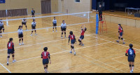 IMG_2545-photo-full