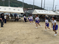 IMG_6156